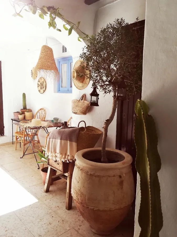 La Perica Apartment Vejer de la Frontera